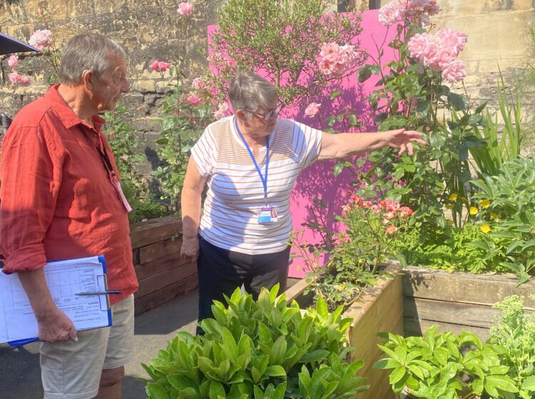 Bath in Bloom 2024: The Story of The Beehive's Garden Rejuvenation